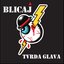 Tvrda glava