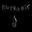 bny rabit
