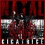 Cicatrice II: NATAL