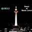 Tower Of Music Lover (Best Of Quruli) Disc 2