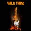 Wild Thing: The Birth of Hard Rock in 1960s Garage with the Troggs, Link Wray, Dick Dale, And More