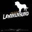 Lawinenhund