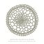 Radiolarians: The Evolutionary Set