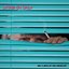 Mel's Neck of the Woods - EP
