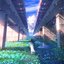 日陰