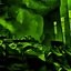 Drowning in the Swamp - Single