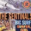 Big Surf! / Surfer Girl