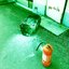 Punch - Single