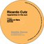 Apprentice in the Sun Remixes