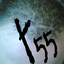 Avatar for y55