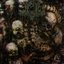 Toxic Wasteland [Explicit]