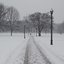 Snow Storm