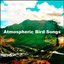 Atmospheric Bird Songs