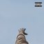 Too Late - Single