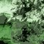 Experimental Compositions Vol. 2i