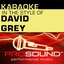 Karaoke - In the Style of David Grey - EP (Professional Performance Tracks)