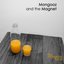 The Mongooz Juice