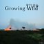 Growing Wild