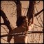 Eastward of Eden (Acoustic)