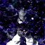 Black Lotus Emporium [Explicit]