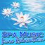 Spa Music – Pure Relaxation (Nature Sounds and Music)