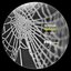Spider ep