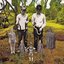 New Goth Gypsies - Split EP