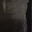 Noctulian