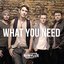 What You Need EP