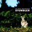 Stumbler