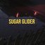 Sugar Glider