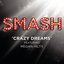 Crazy Dreams (Smash Cast Version) [feat. Megan Hilty] - Single