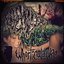 Whorticulture