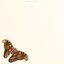 The Tell-Tale Heart [Explicit]