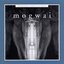 Kicking A Dead Pig : Mogwai Songs Remixed