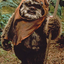 EwokRider için avatar