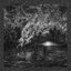 Triumph of Decomposition