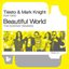 Beautiful World (The Ecstasy Remixes)