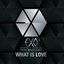 WHAT IS LOVE (Korean Version) - Single