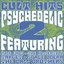 Cult Hits: Psychedelic, Vol. 2