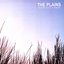 On Earth as it is in Heaven