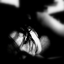 Avatar for RubySoho89