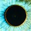 Shai-Hulud - Single