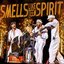 Smells like Teen Spirit