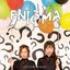 Enigma - Single