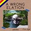 A Wrong Elation