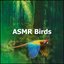 ASMR Birds