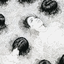 Avatar de melancholia--