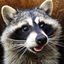 Avatar di RaccoonViolet