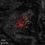 Negative Ions - Single